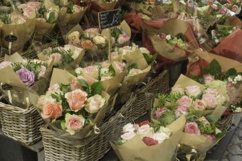 Roses_Les Fleurs du Passage_Rouen - 20190907.jpg