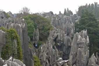 Stone Forest - Yunnan Province.jpg