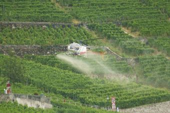 Aérospatial SA 315B (HB-ZMT) - spraying the vinyards near Epesses_resized.jpg